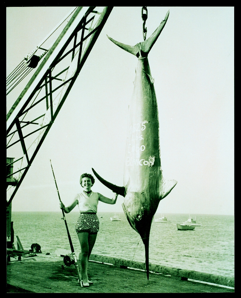 historic big game fishing