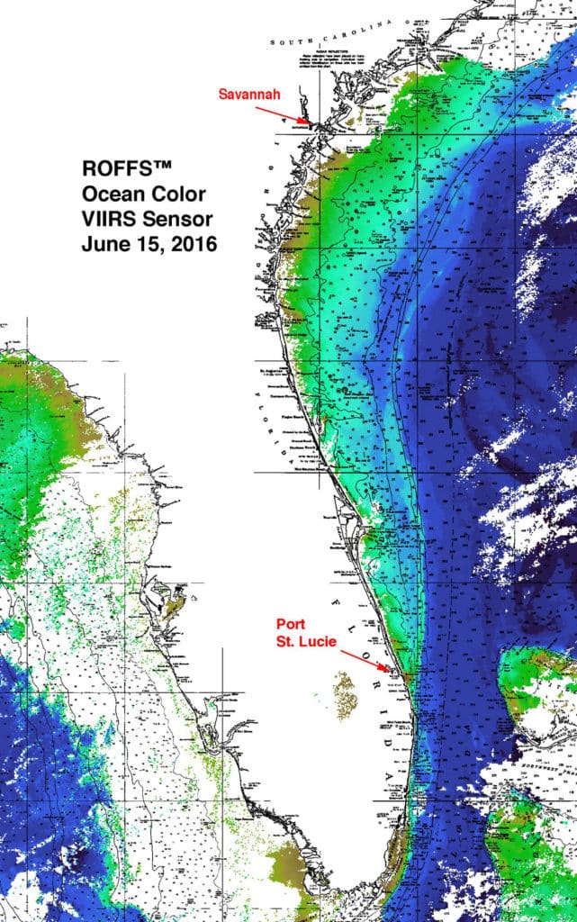 Florida water pollution