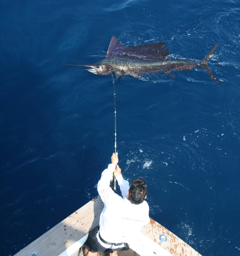A Guatemala angler fights a sailfish