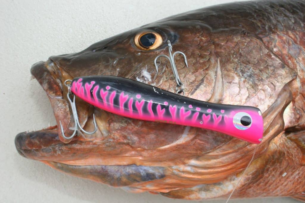 Fishing Caribbean Islands Casting Poppers and Stickbaits