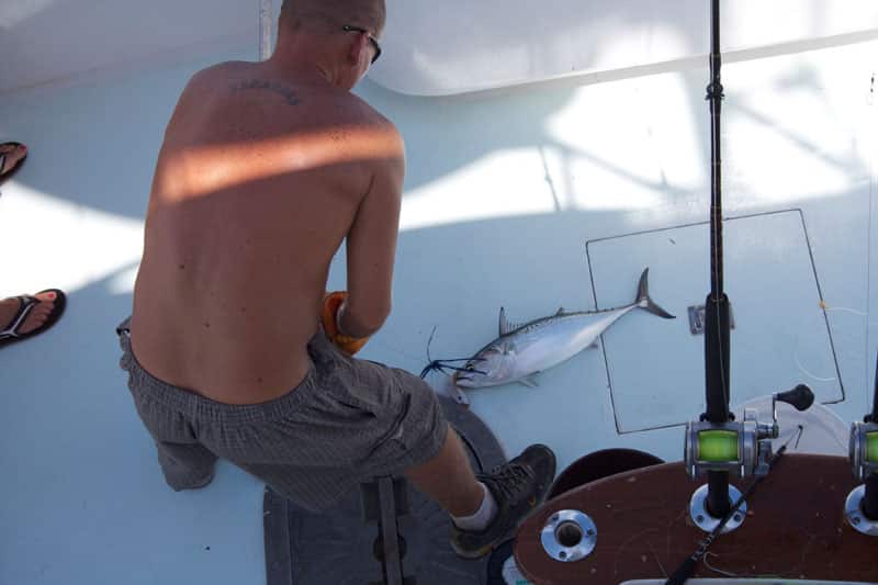 Red Snapper Season Off The Treasure Coast