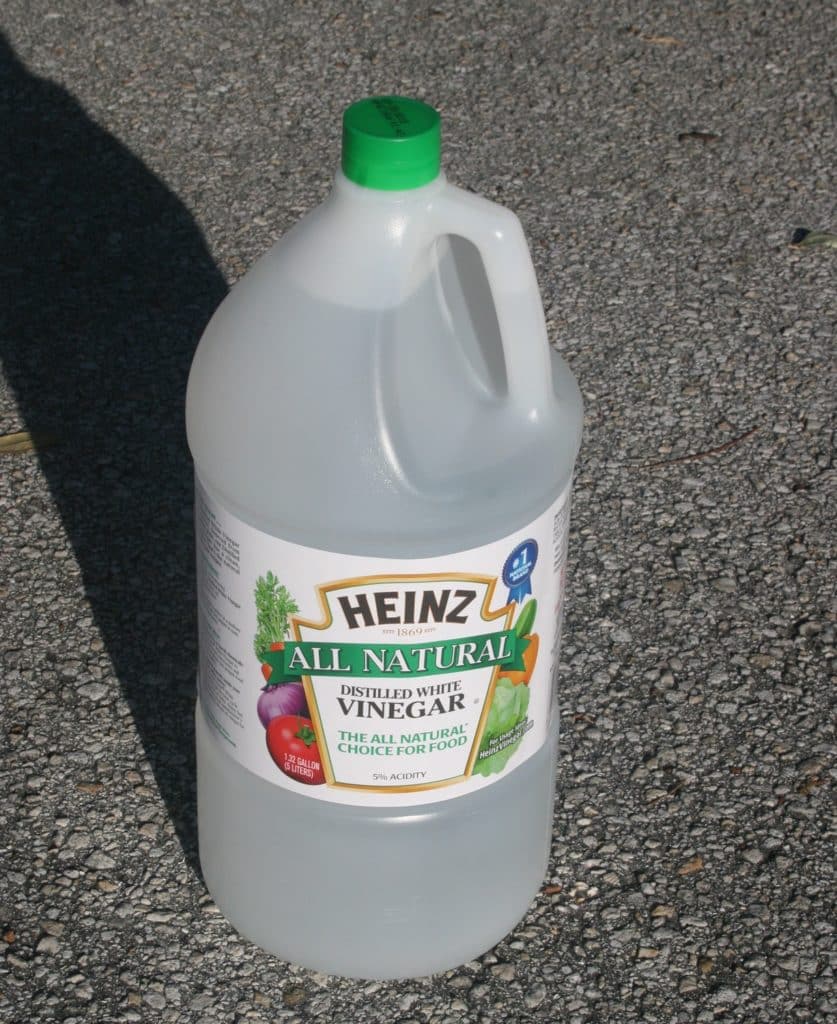 Plastic bottle of white vinegar