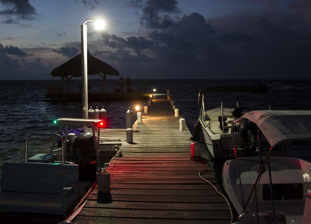 Belize Fly Fishing