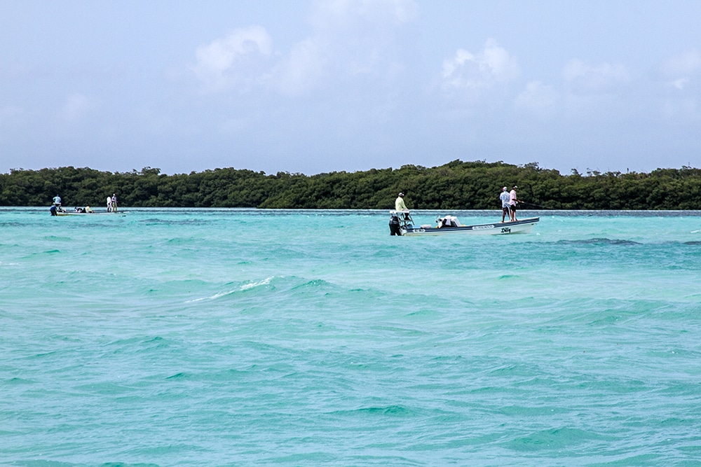 Belize Fly Fishing - 5