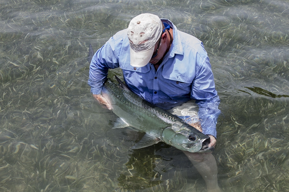 Belize Fly Fishing Tarpon - 9