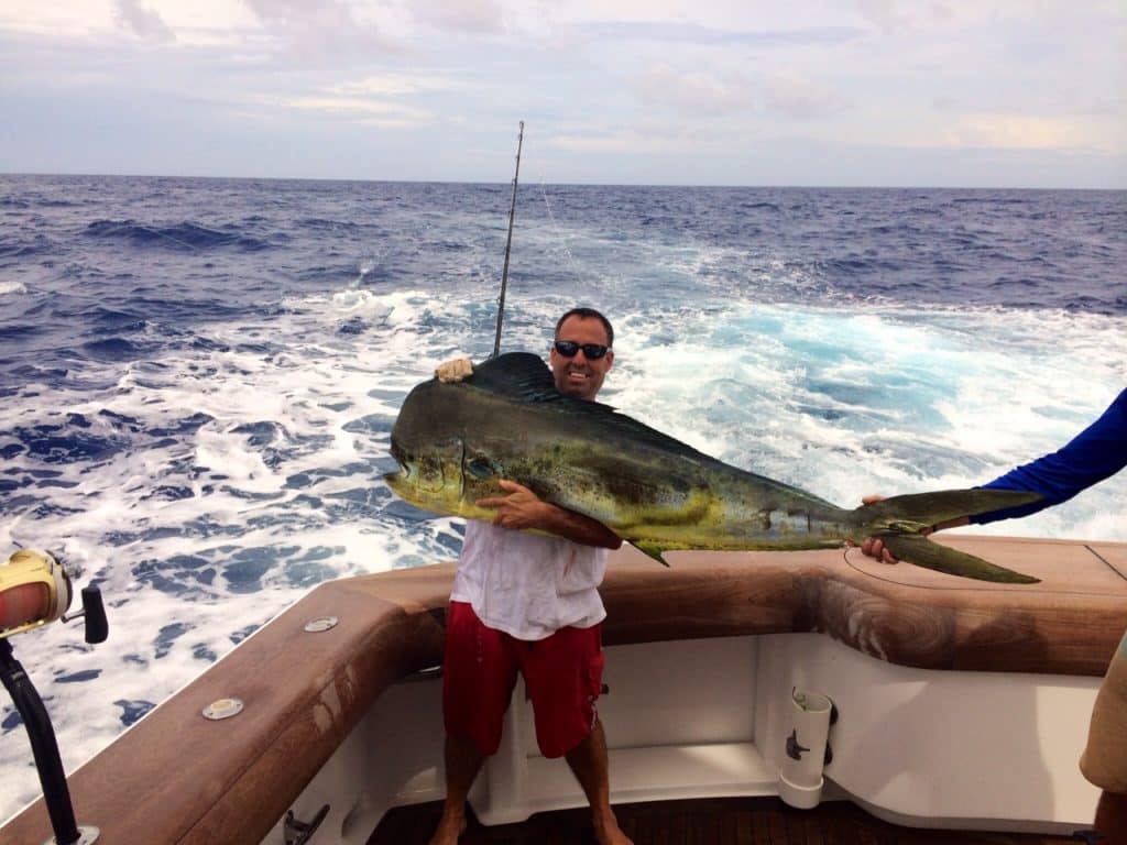 Dominican Republic Dorado