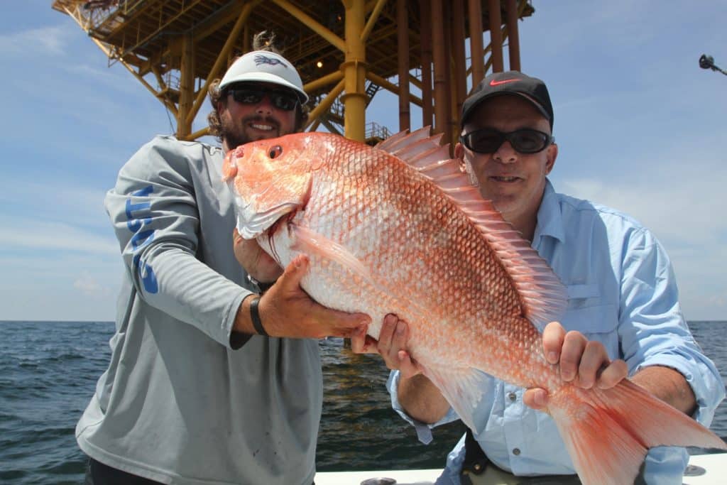 Red snapper caught at a Gulf oil rig