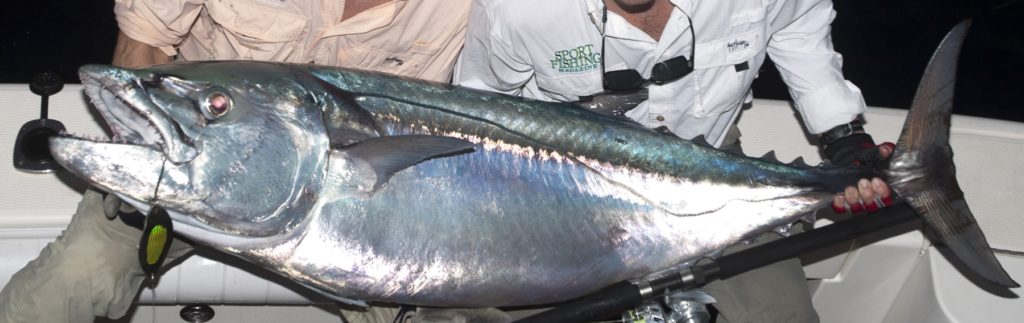 Australia's Great Barrier Reef — a trophy dogtooth tuna