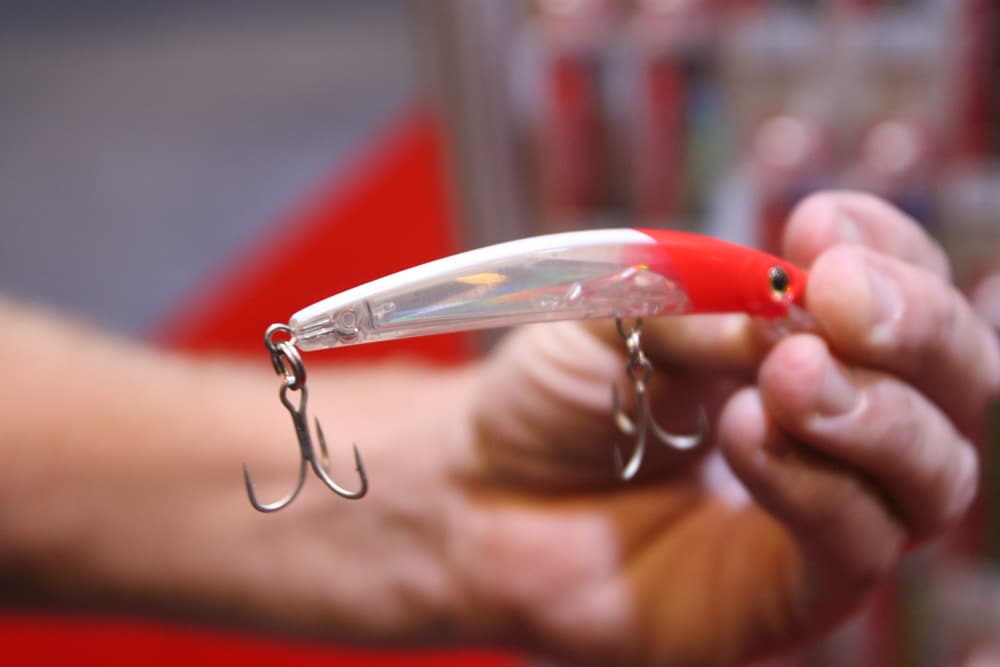 Yo-Zuri Crystal 3D Minnow