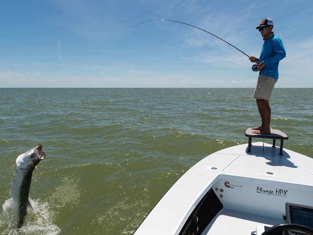 tarpon jumping in water