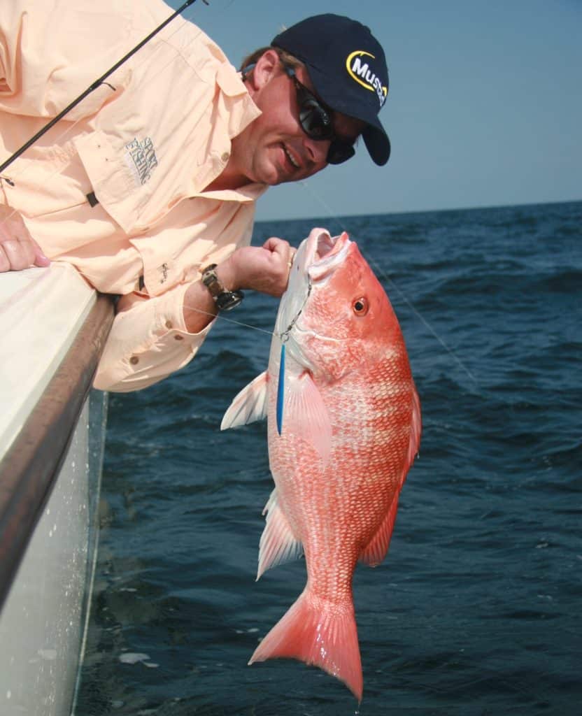 Releasing a small red snapper
