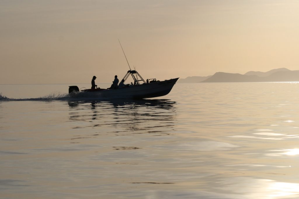 panga fishing boat Baja’s Central Sea of Cortez