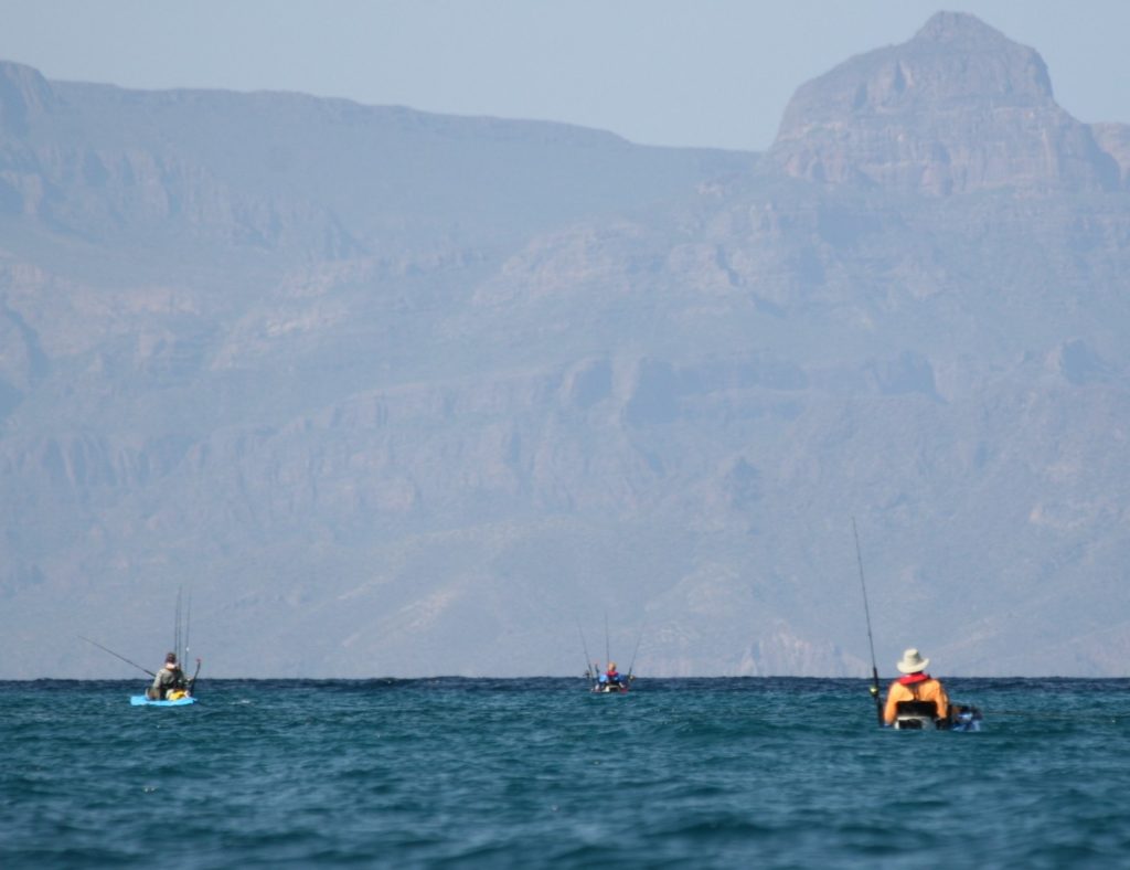 saltwater fishermen Hobie kayak fishing Baja’s Central Sea of Cortez