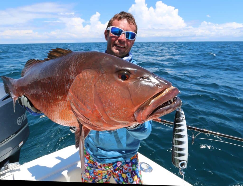 Monster cubera snapper on a popper