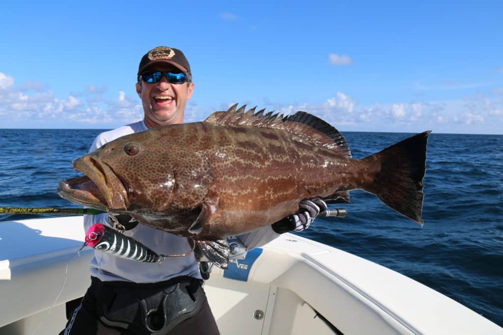 A black grouper in Cuban waters on a popper