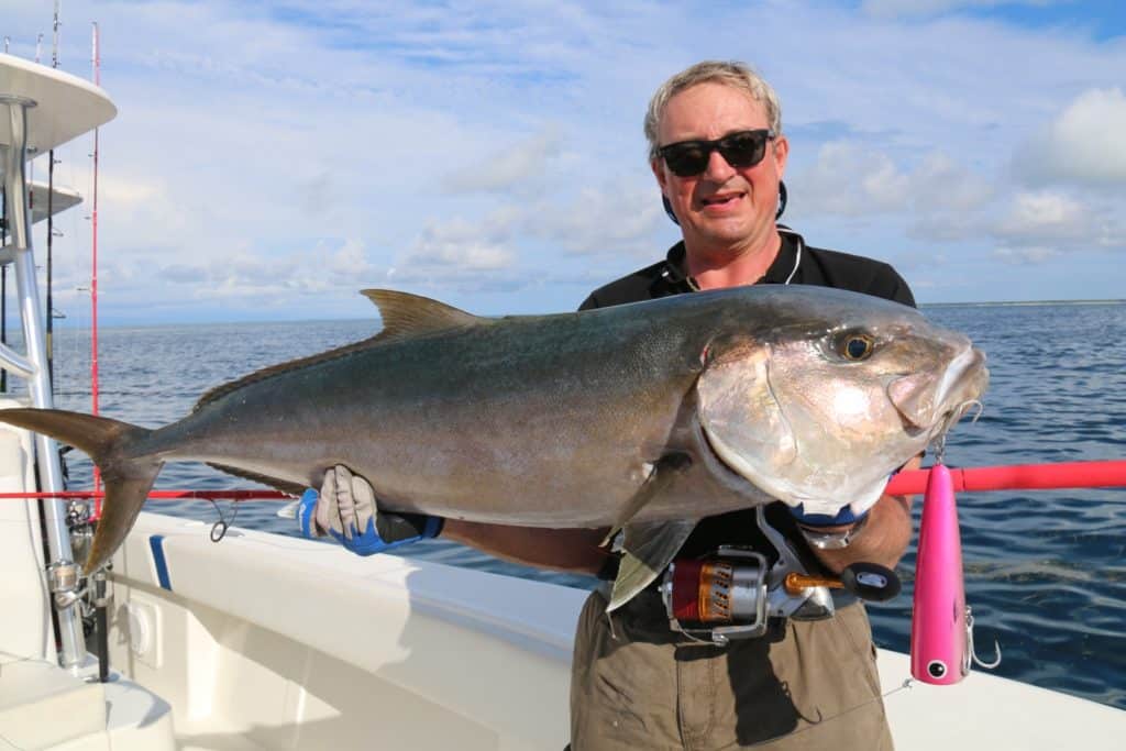 Amberjack on a large pink popper