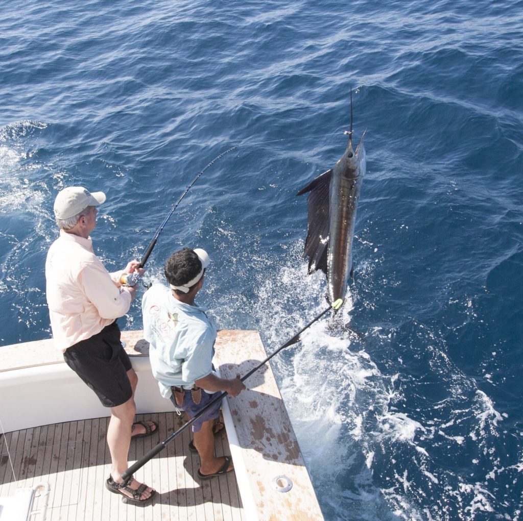 Tagging a sailfish off Guatemala