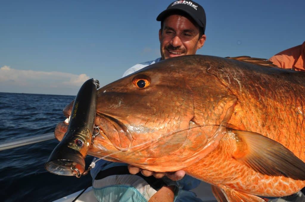 Panama — One of the best spots in the world to catch big fish on poppers