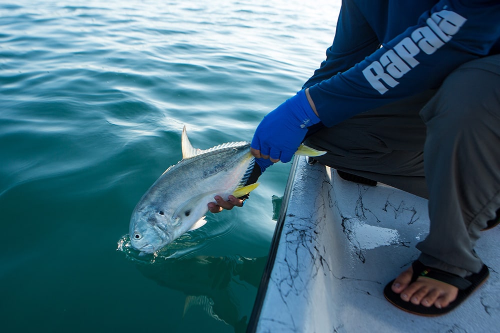 Jack Crevalle fishing Florida