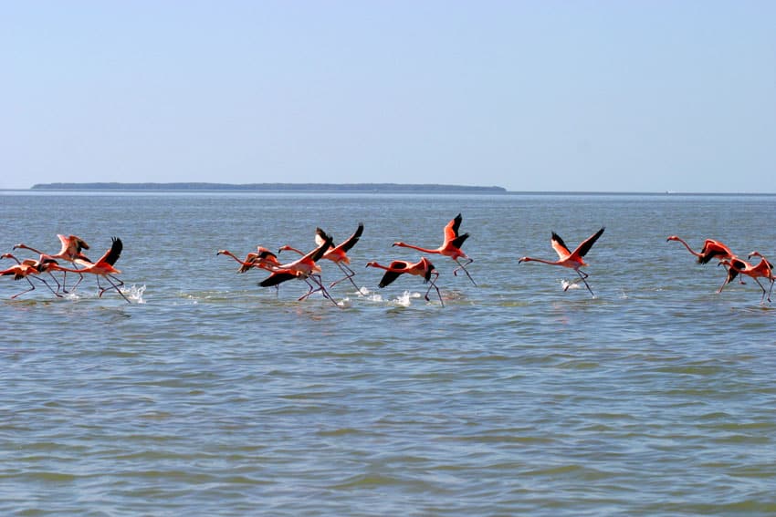 jeff pierce inshore_06.jpg
