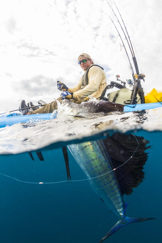 saltwater fisherman releasing Pacific sailfish Hobie kayak fishing Baja’s Central Sea of Cortez