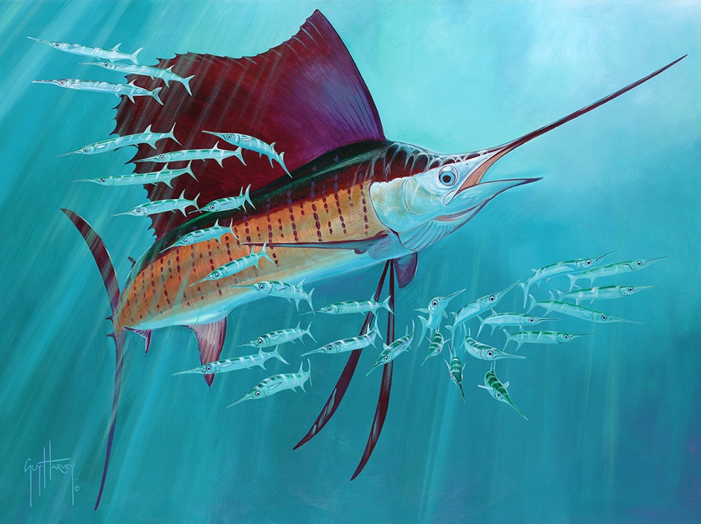 Guy Harvey painting just looking