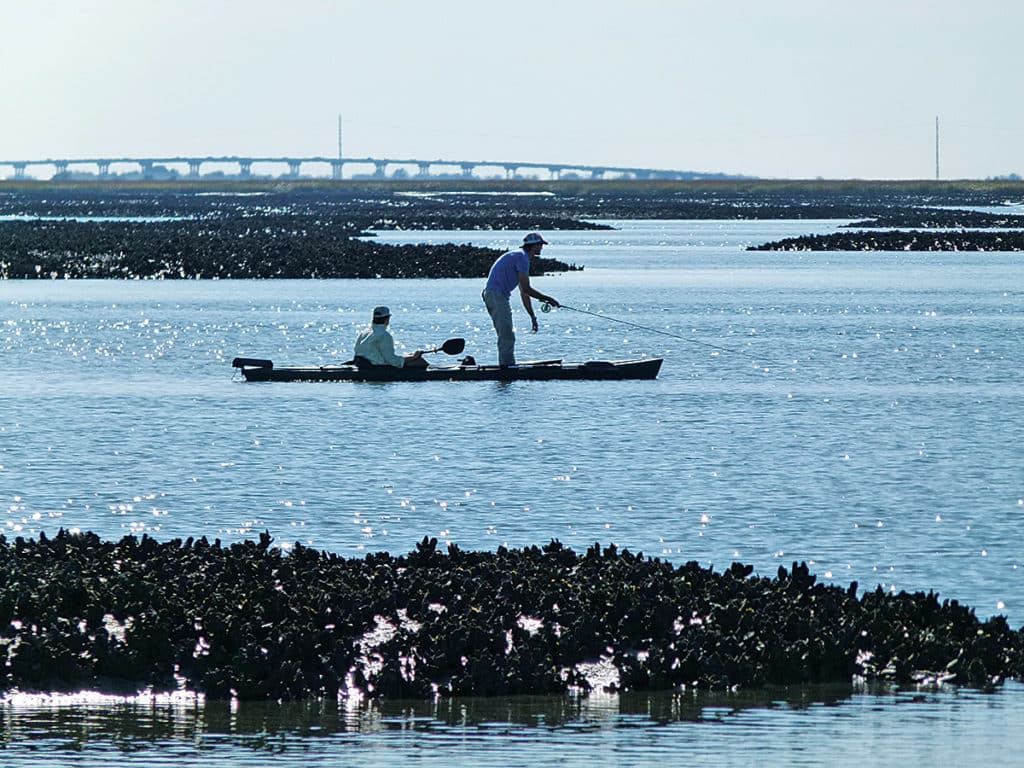 kayak fishing oyster beds