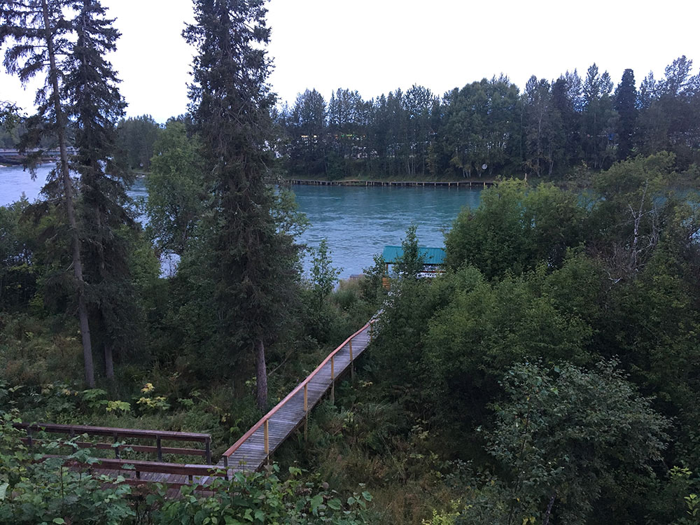 Kenai River from Lodge