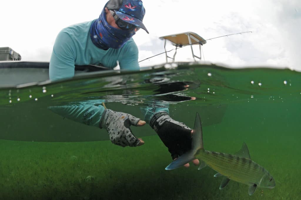 Bonefish release