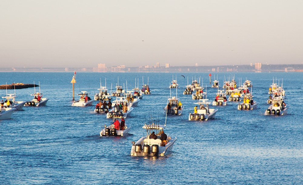 Kingfish tournament fishing boats fleet
