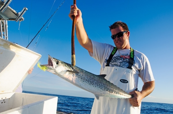 Kingfish Fishing Tips in Florida