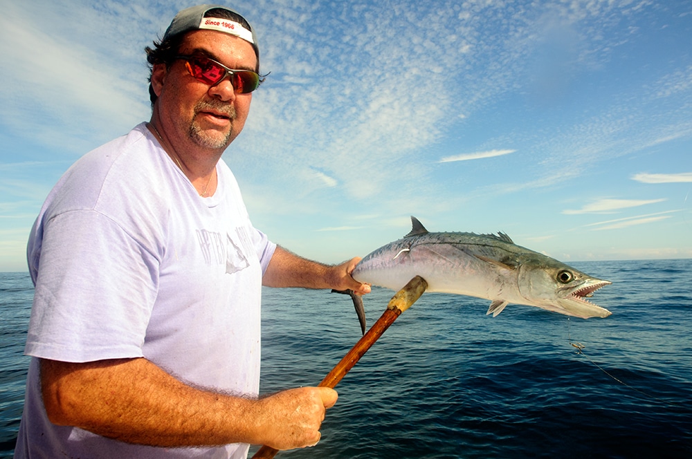 kingfish-visit-florida-2.jpg