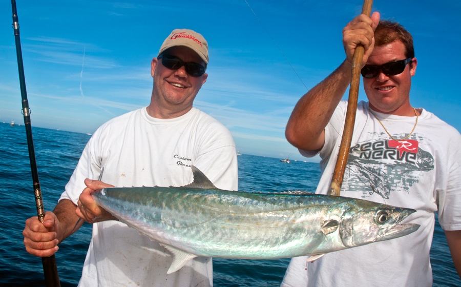 kingfish-visit-florida-4.jpg