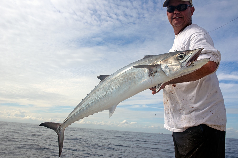 kingfish-visit-florida-5.jpg