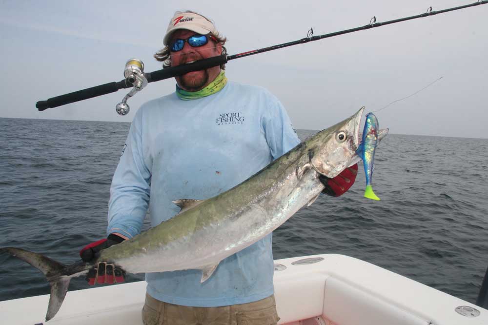 kingfish_3-do.jpg