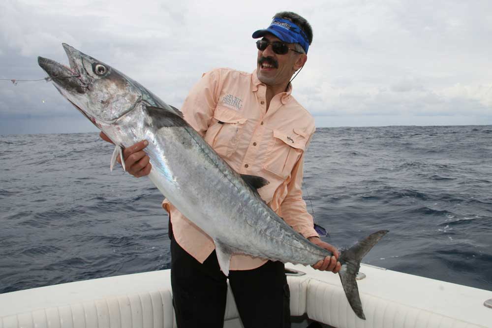 kingfish_6-do.jpg