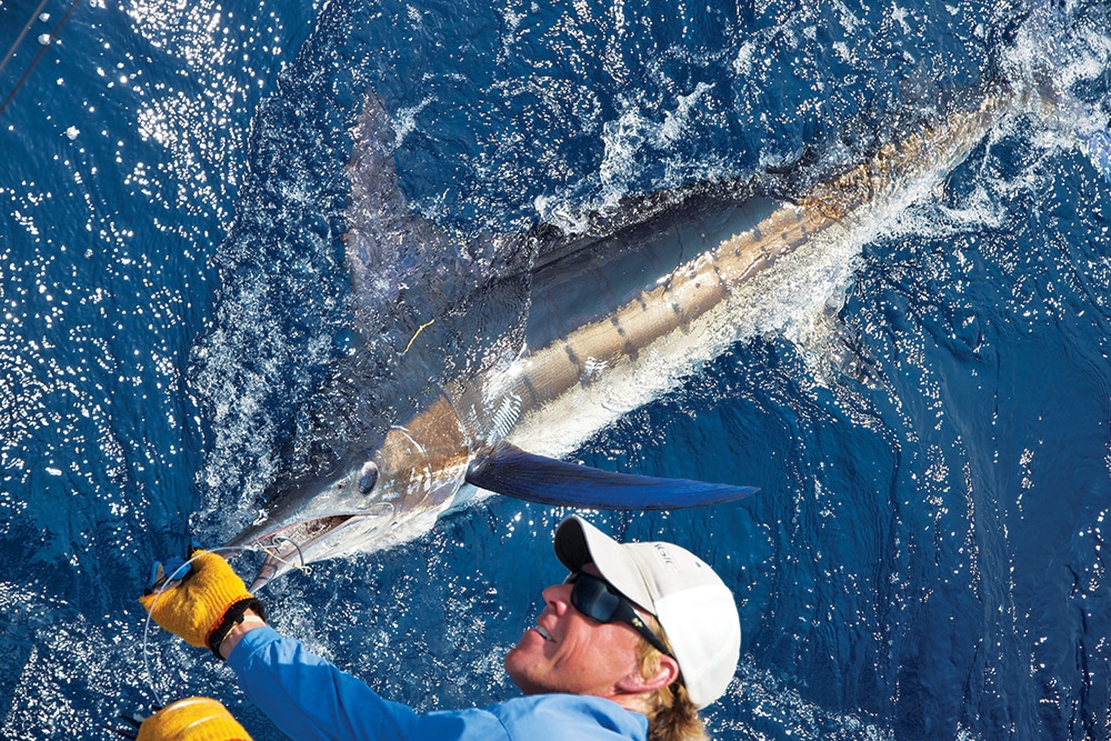 Marlin Fishing - Blue Marlin Fishing - Kona, HI, Marlin Tournament Fishing