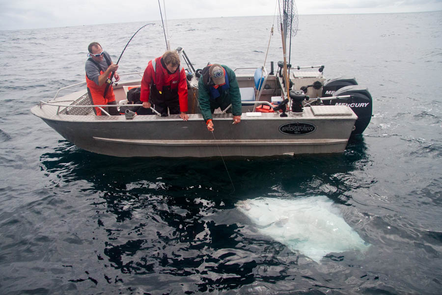 kyler_vos_pacific_fishing_01.jpg