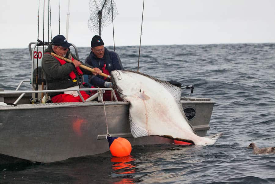 kyler_vos_pacific_fishing_02.jpg