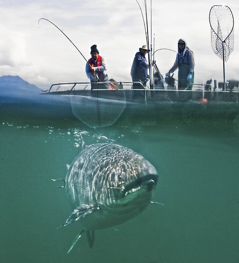 kyler_vos_pacific_fishing_12.jpg