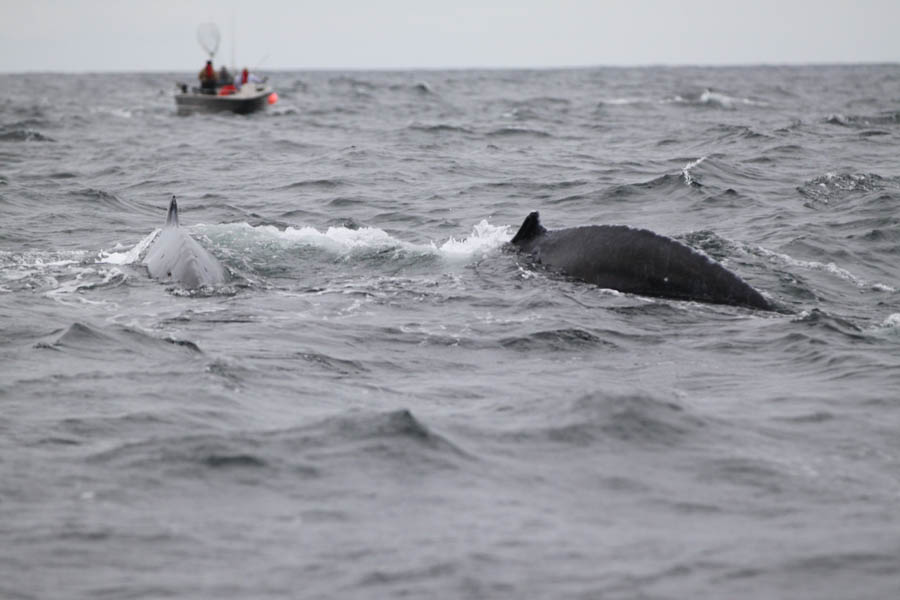 kyler_vos_pacific_fishing_16.jpg