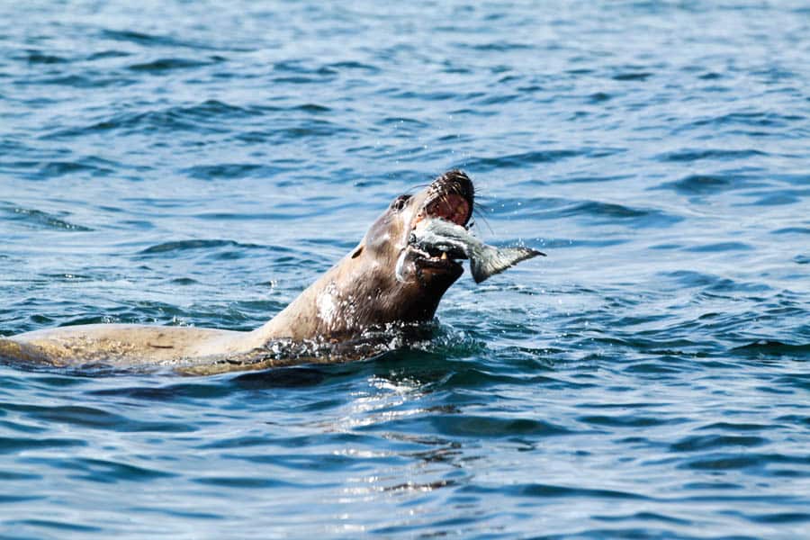 kyler_vos_pacific_fishing_17.jpg