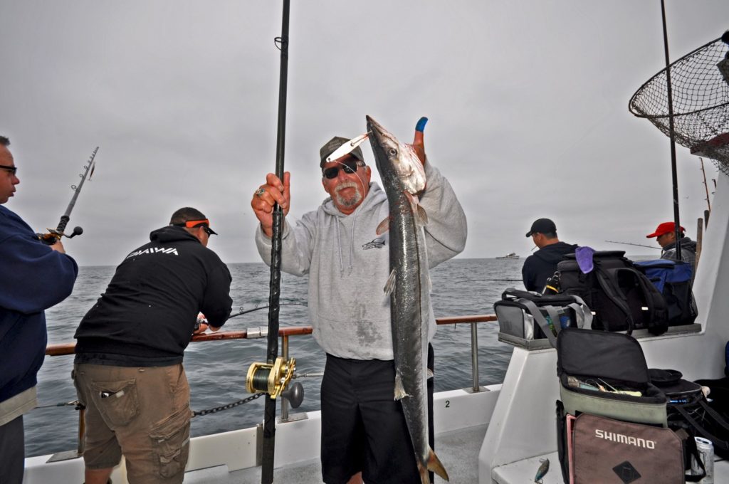 Pacific barracuda on a Southern California partyboat