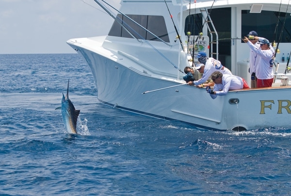 Fishing for Billfish Tips