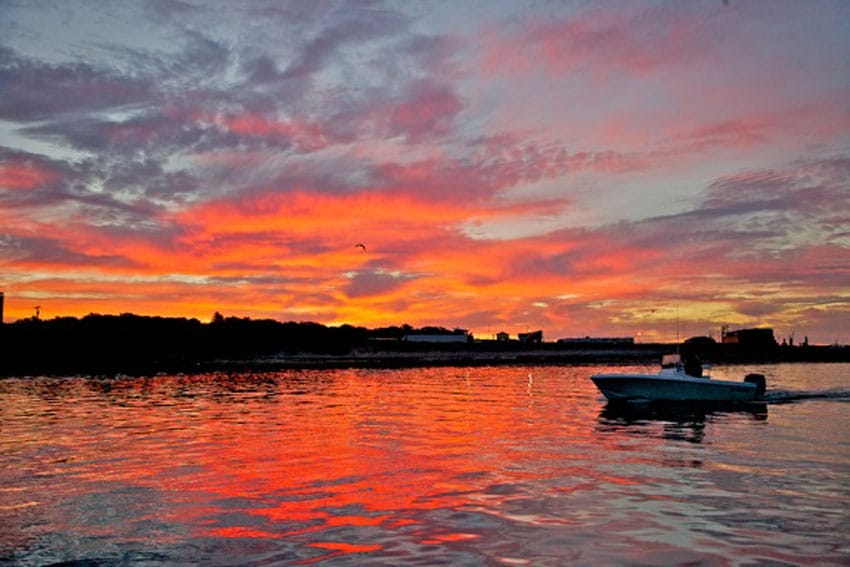 leaving montauk harbor at dawn.jpg