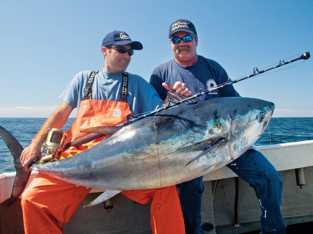 Fishermen holding big bluefin tuna fish