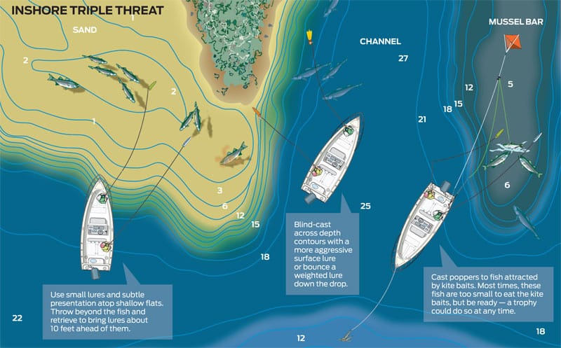 light-tackle-stripers-diagram.jpg