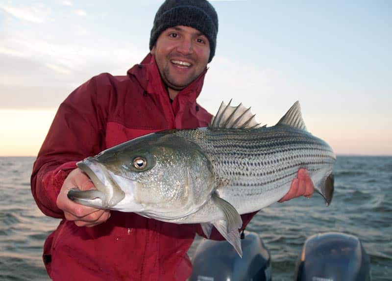 light-tackle-stripers-grab.jpg