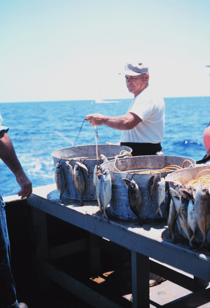 Marlin and Tuna Need Federal Protection from Commercial Longliners