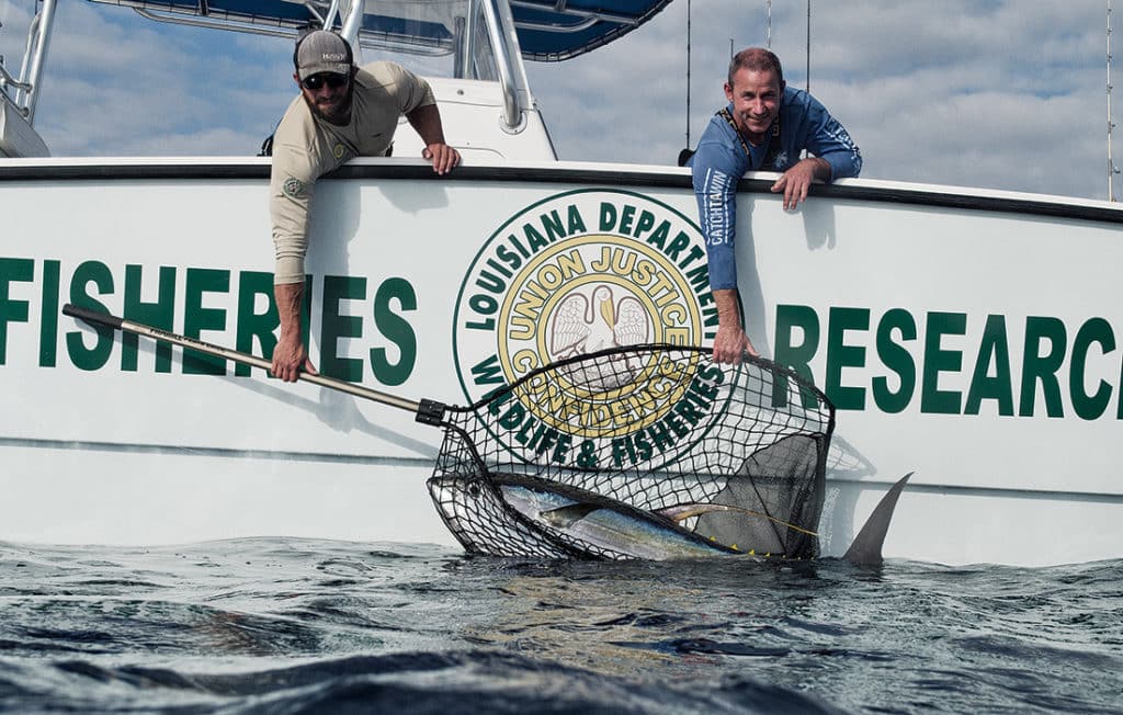 yellowfin tuna tag and release